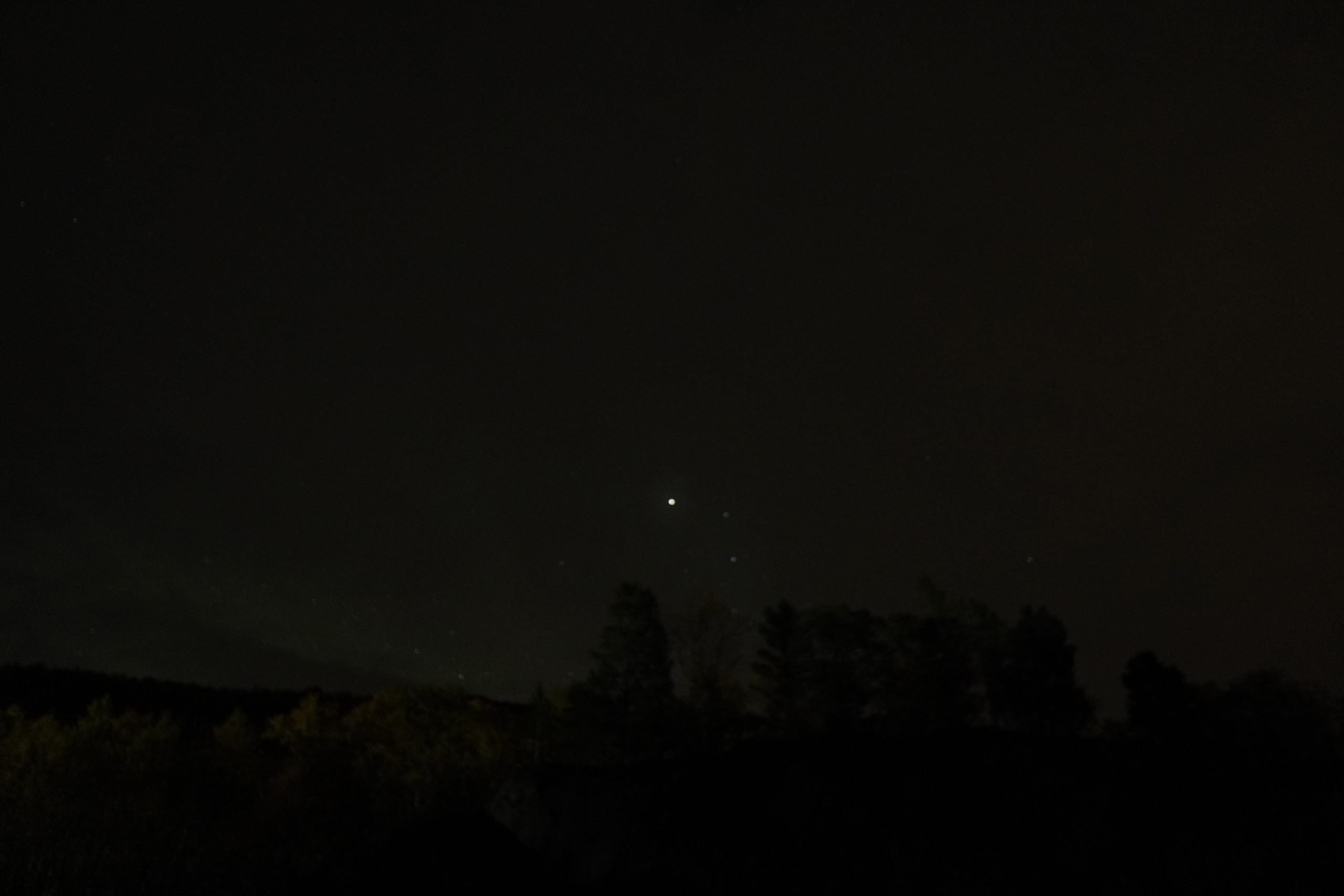 Dark Arctic sky above trees