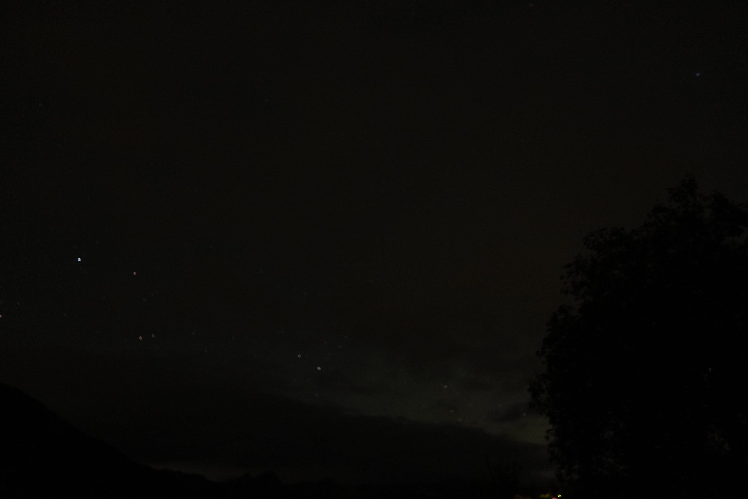 Star field beside a dark tree silhouette
