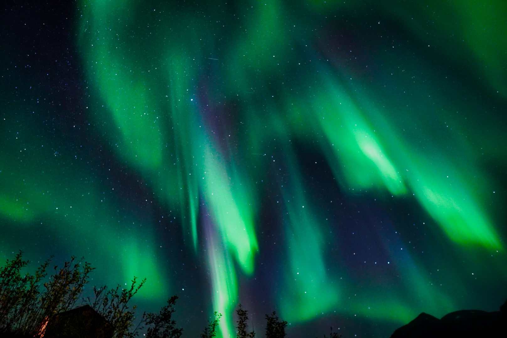 Bright green Northern Lights spreading across a starry sky in Lofoten