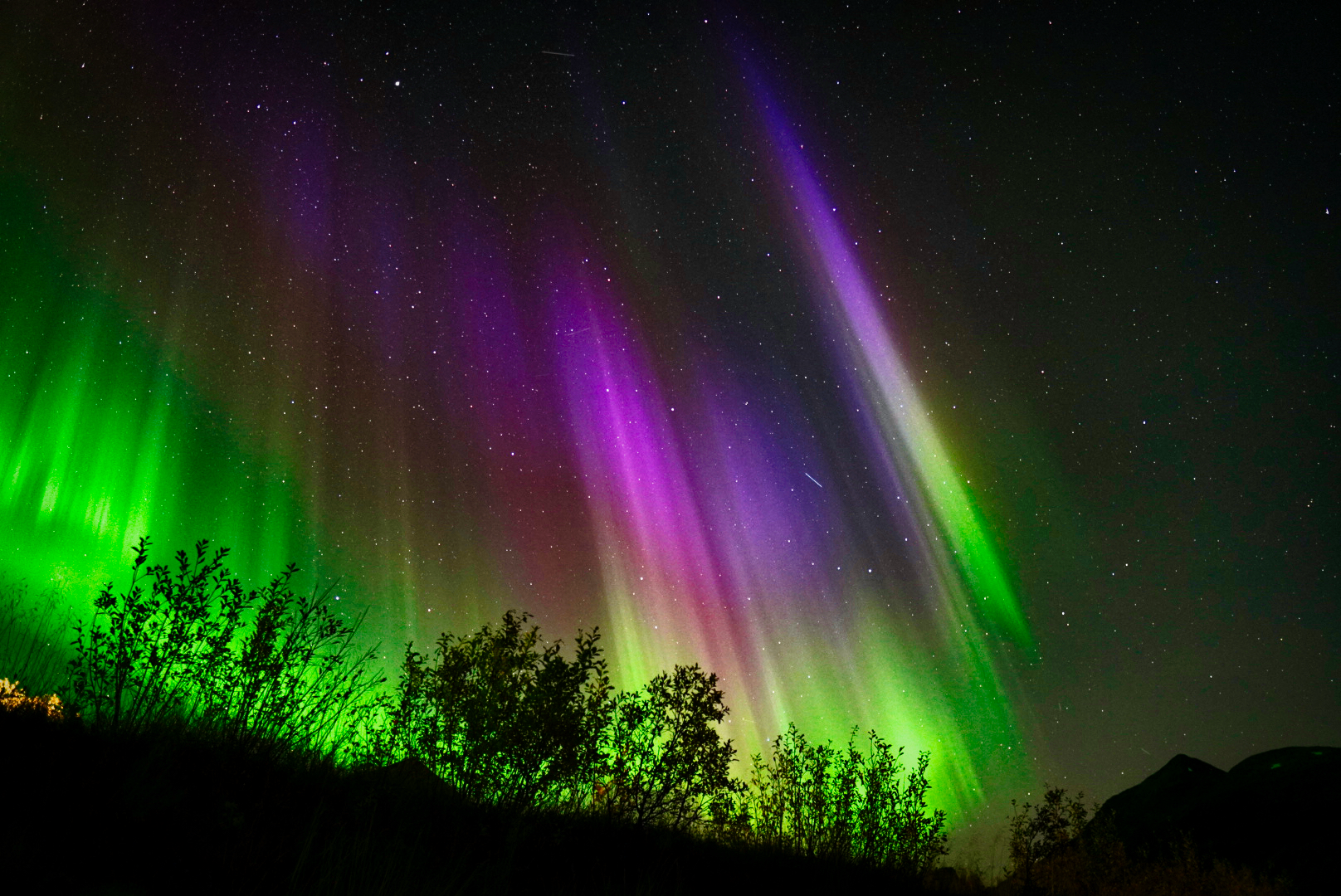 Green and purple aurora lighting the night sky over Lofoten